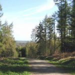 Yearsley Forest 11th May 2016