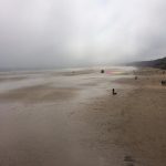 The Bempton to Filey Misty Trail Challenge